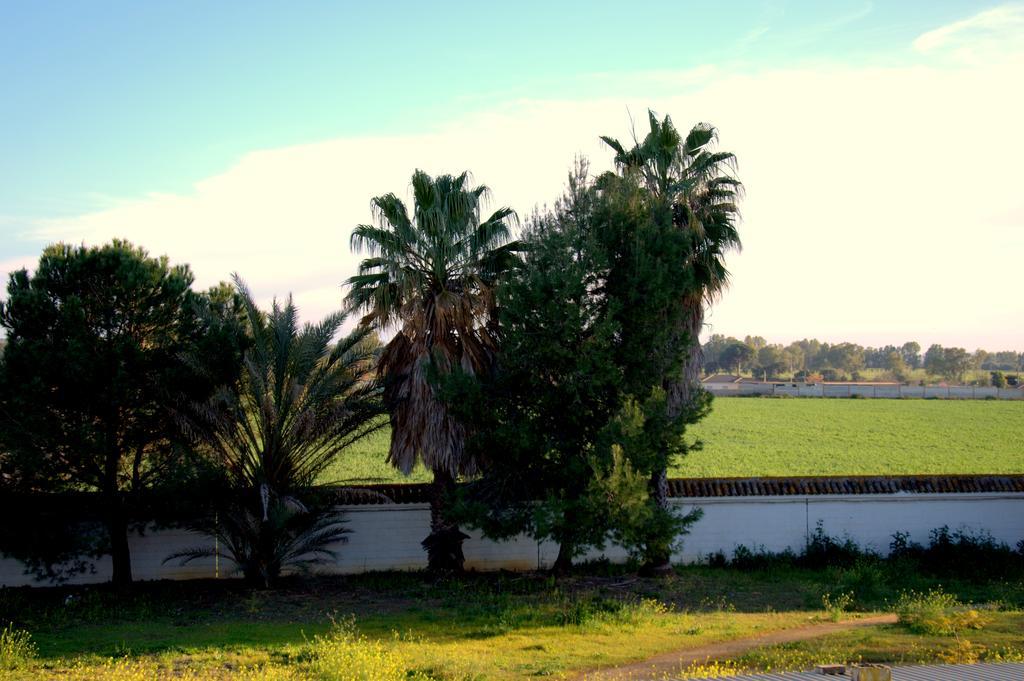 Hotel Palmero Torrepalma ภายนอก รูปภาพ